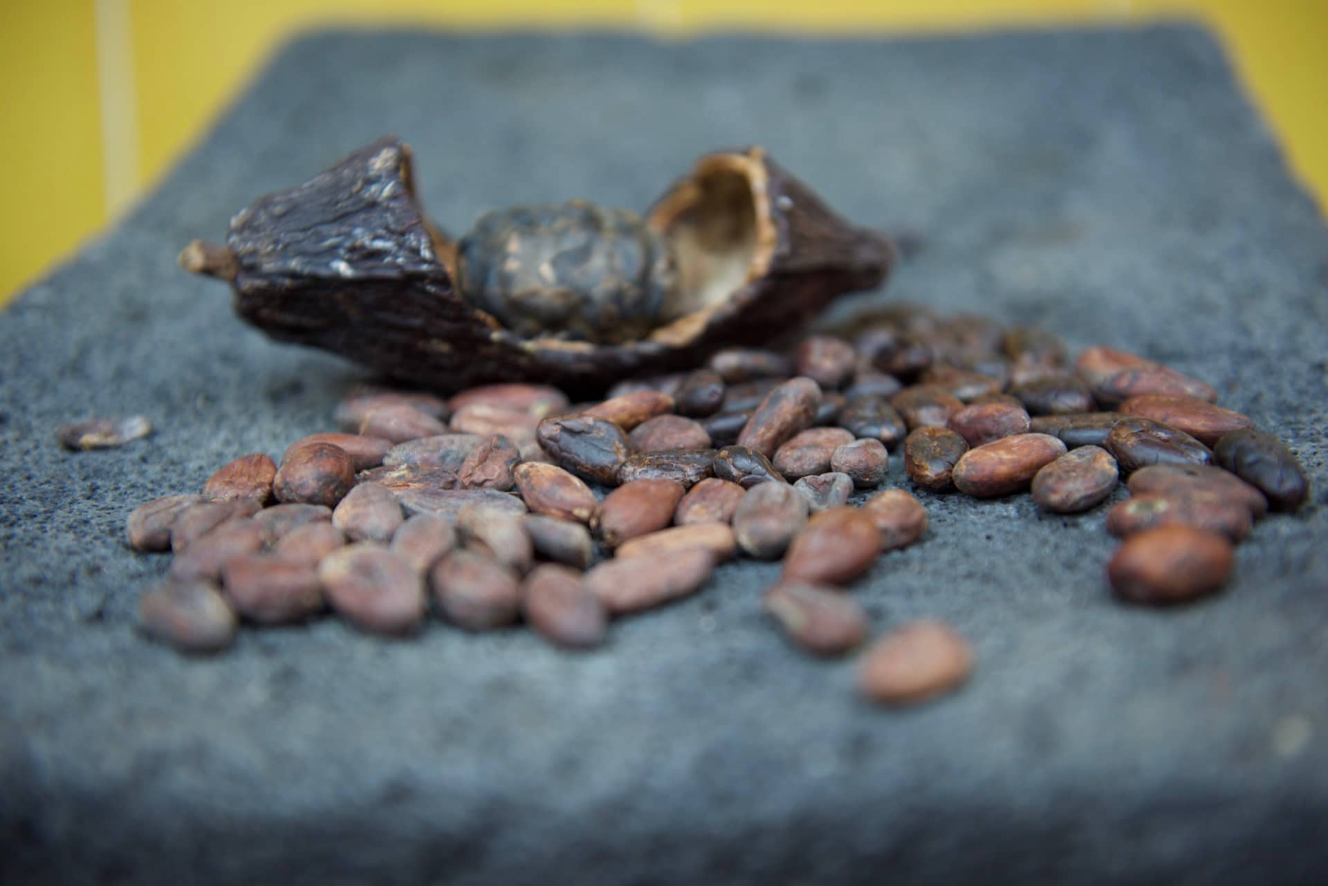 Raw cacao beans on a stone grinder