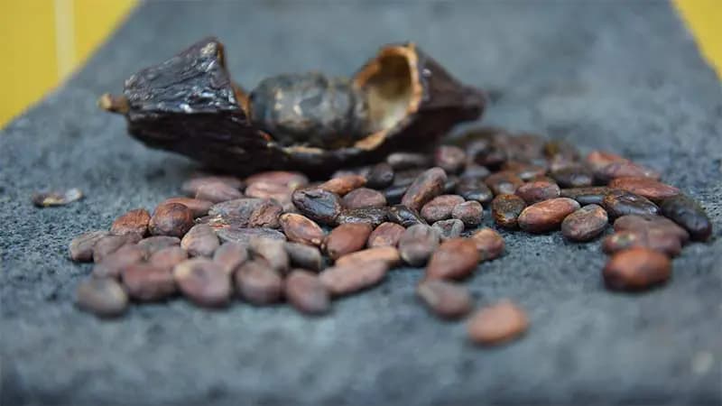 Pure cacao beans